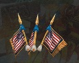 Defense Flag